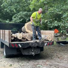 Tree-Removal-and-Stump-Grinding-in-Denton-MD 3